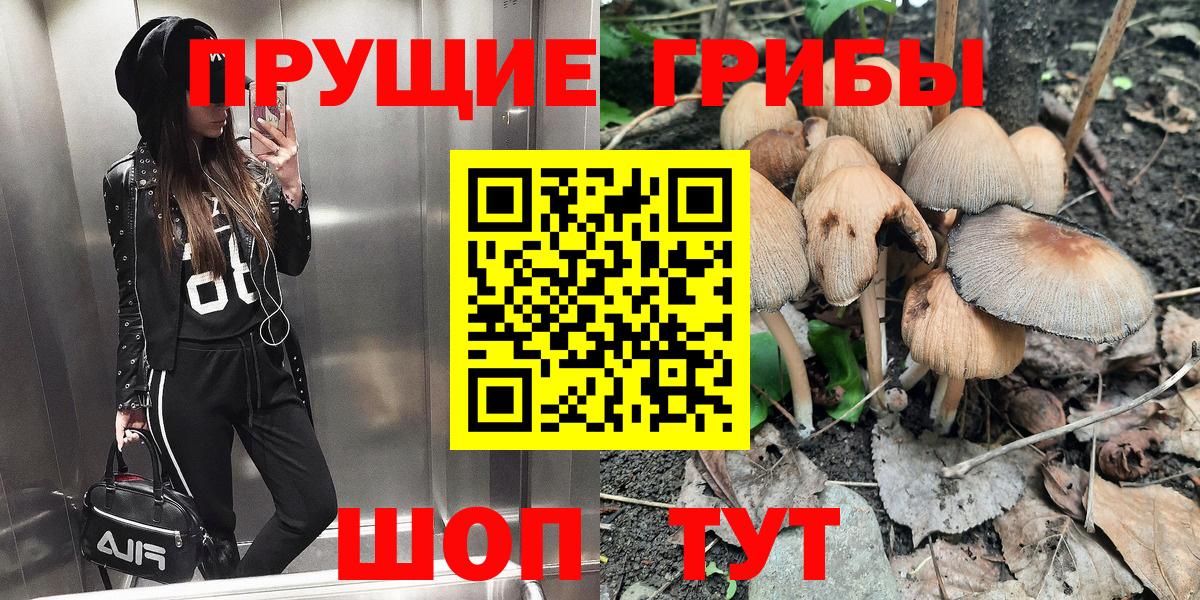 Галлюциногенные грибы прущие грибы  что такое   Североуральск  Галлюциногенные грибы Psilocybe  Вход с VPN 